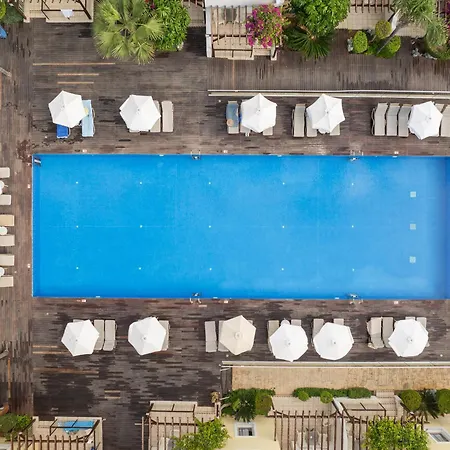 Louis Althea Protarász