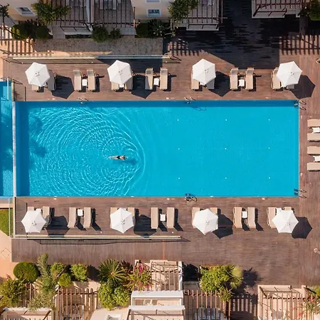 Louis Althea Protaras